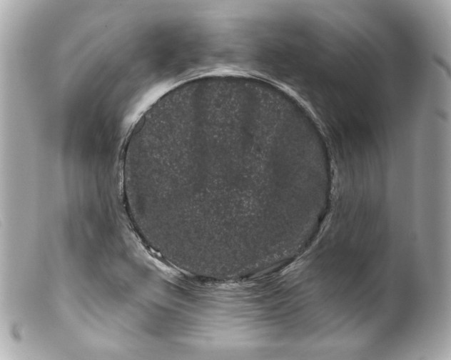 X0000099561367200805301532