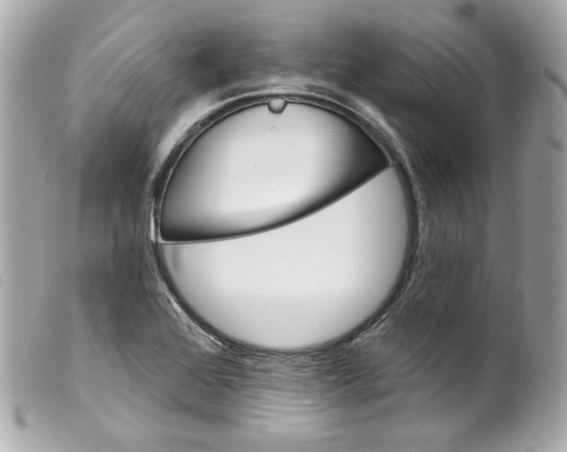 X0000099561368200805301532