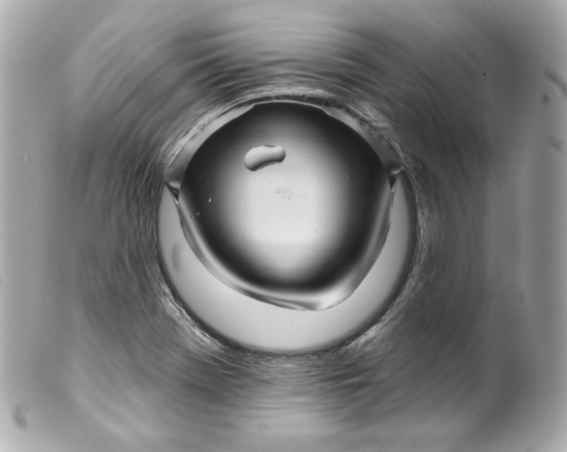 X0000099561369200805301532