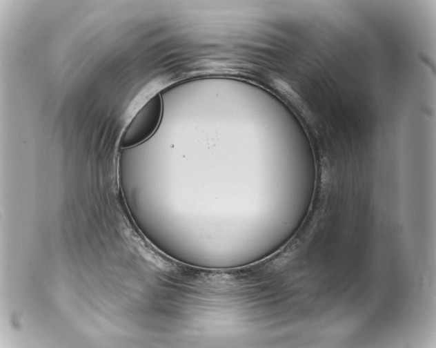 X0000099561370200805301532