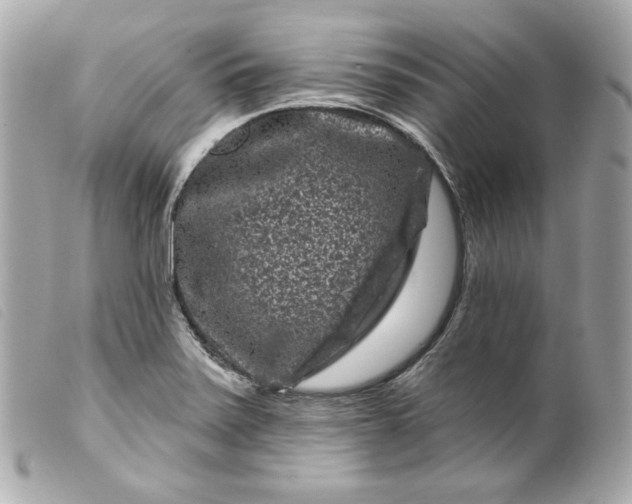 X0000099561371200805301532