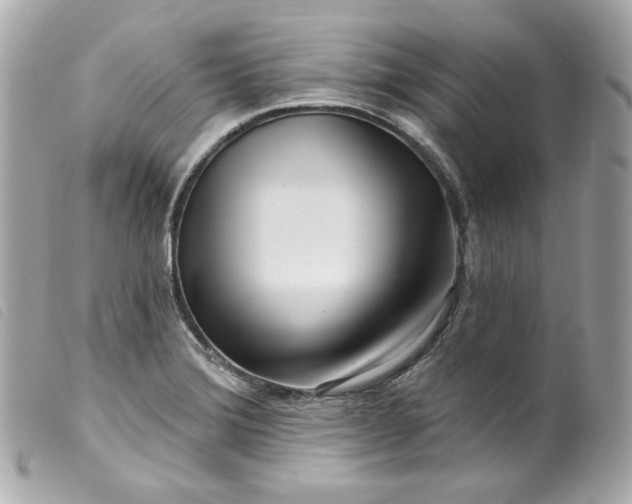 X0000099561372200805301532