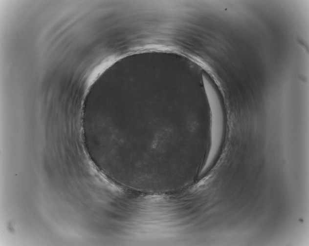 X0000099561373200805301532