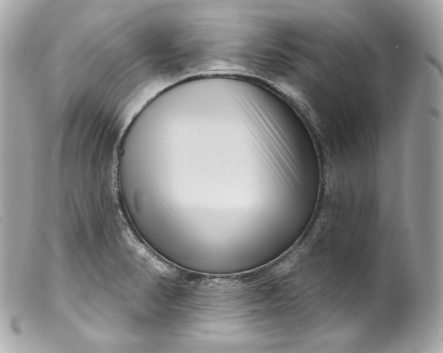 X0000099561374200805301532