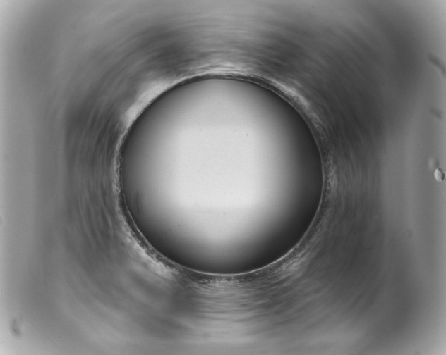 X0000099561375200805301532