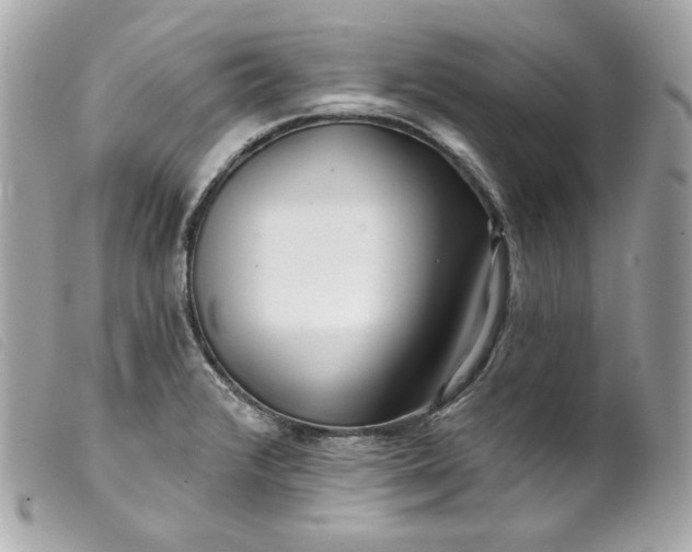 X0000099561376200805301532