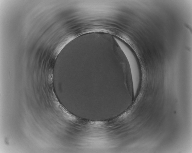 X0000099561377200805301532