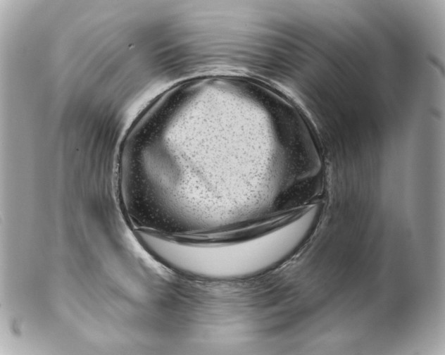 X0000099561379200805301532