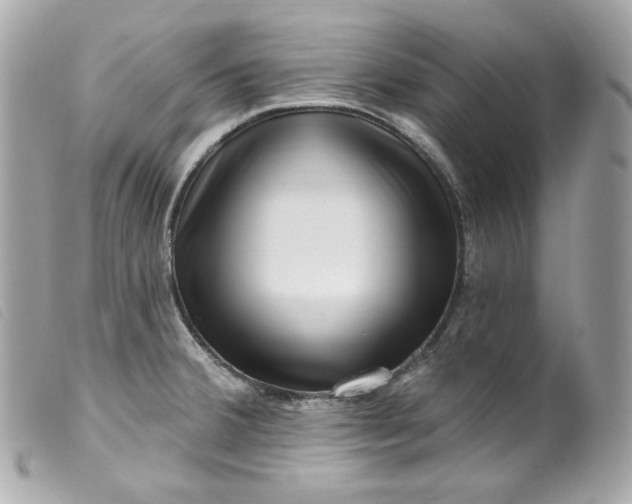 X0000099561380200805301532