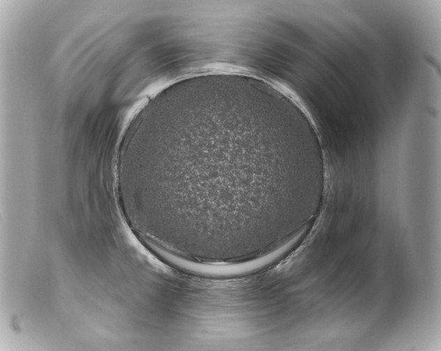 X0000099561381200805301532