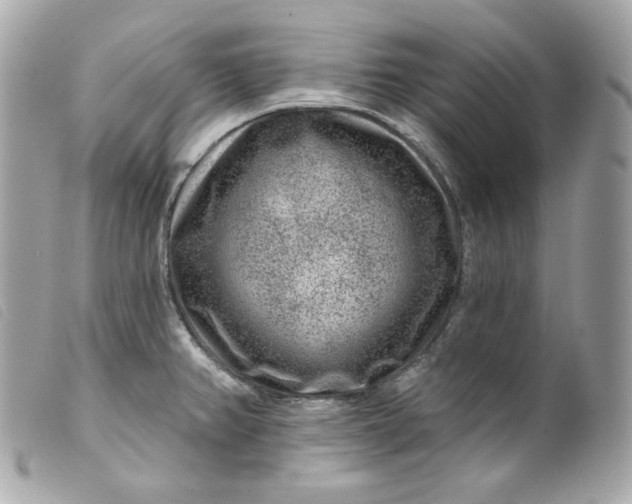 X0000099561382200805301532