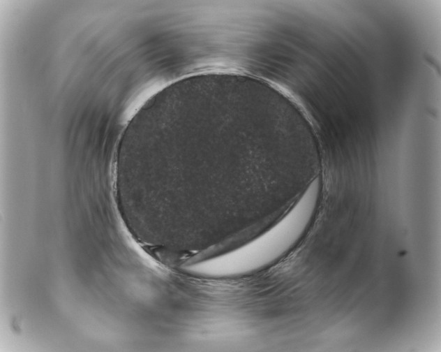 X0000099561383200805301532