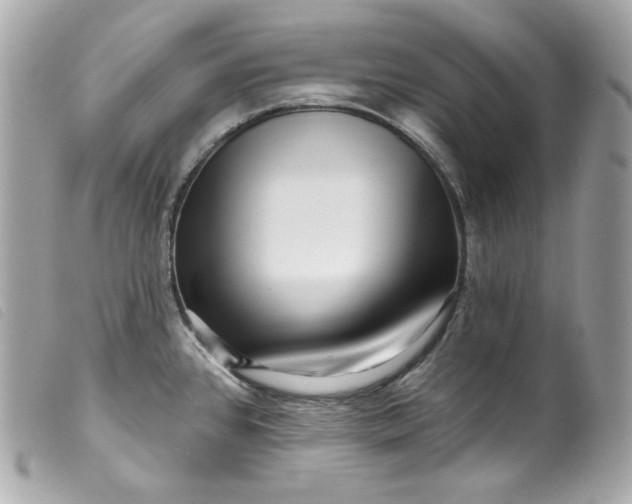 X0000099561384200805301532