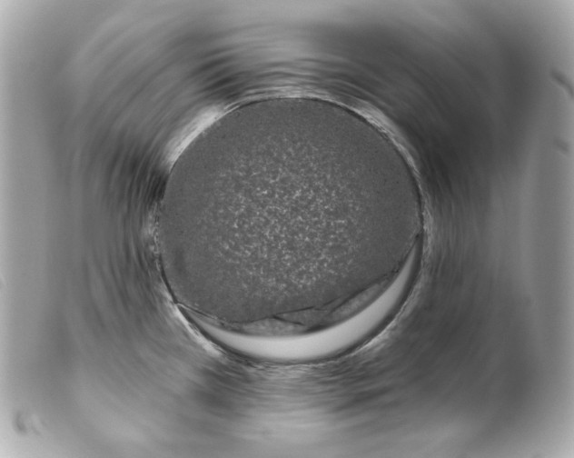 X0000099561385200805301532