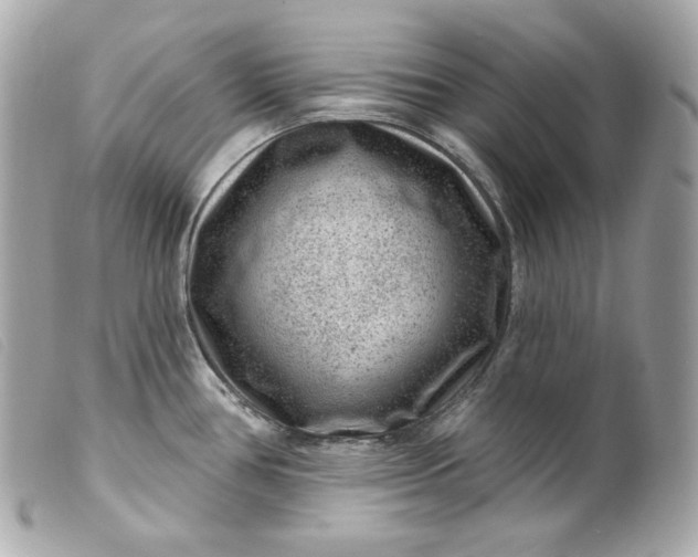 X0000099561386200805301532