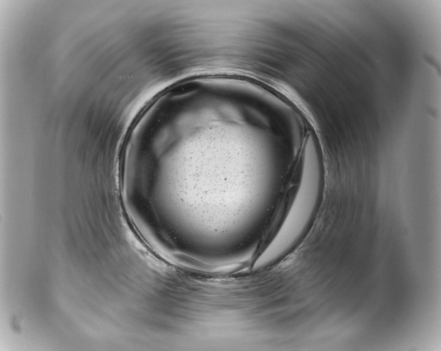 X0000099561388200805301532