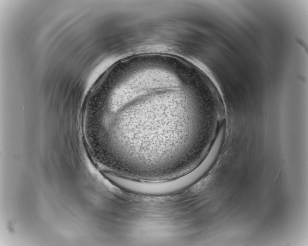 X0000099561389200805301532