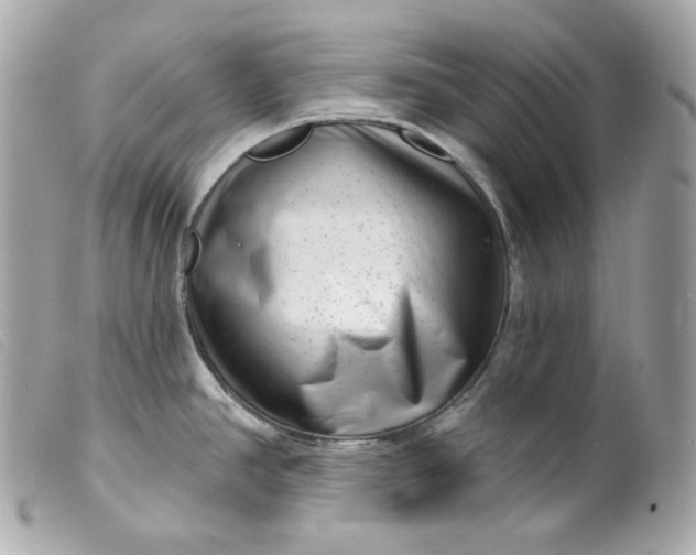 X0000099561390200805301532