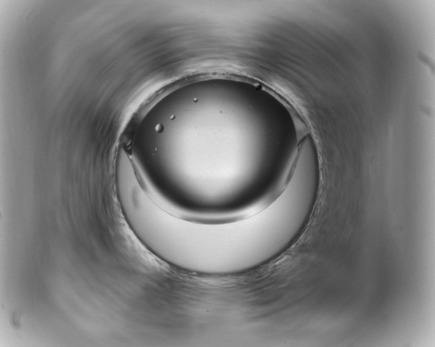 X0000099561392200805301532