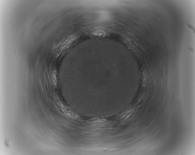 X0000099561394200805301532