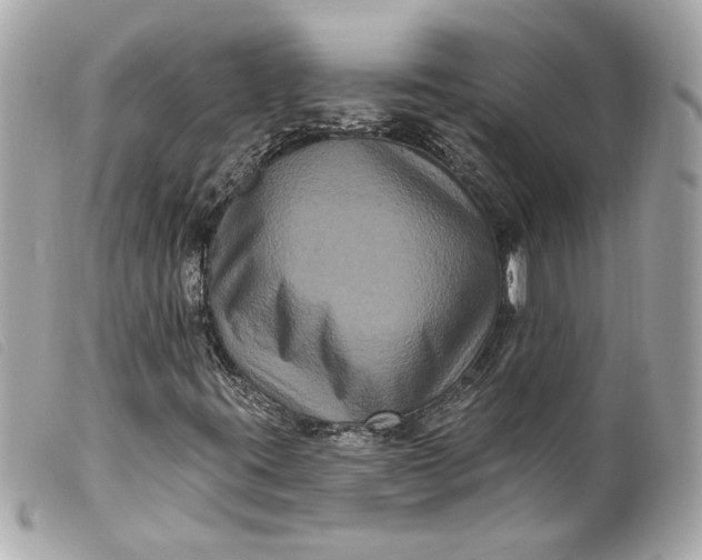 X0000099561395200805301532