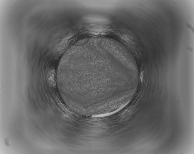 X0000099561396200805301532