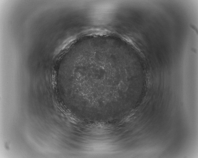 X0000099561399200805301532