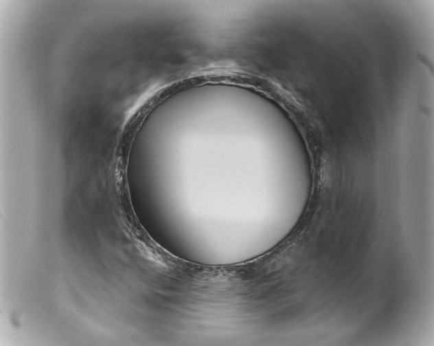 X0000099561400200805301532