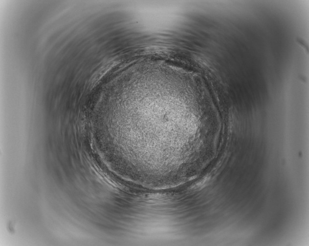 X0000099561401200805301532