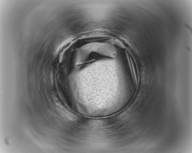 X0000099561402200805301532