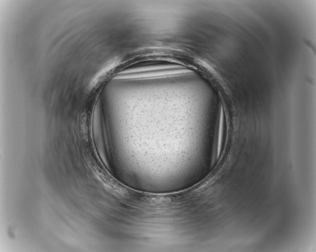 X0000099561403200805301532