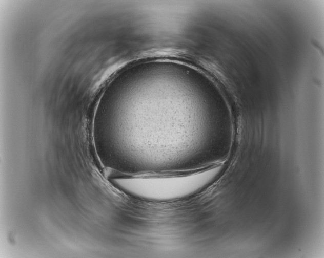 X0000099561404200805301532