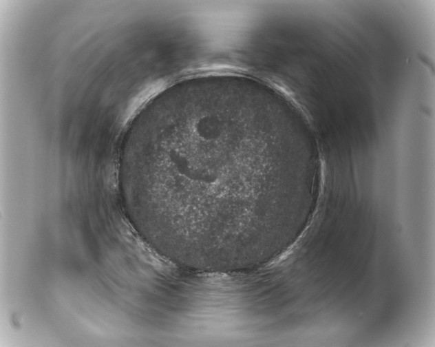 X0000099561405200805301532