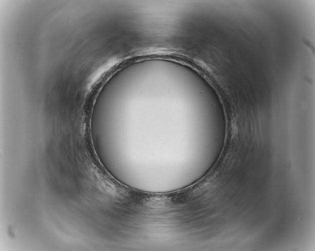 X0000099561406200805301532