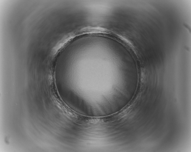 X0000099561407200805301532