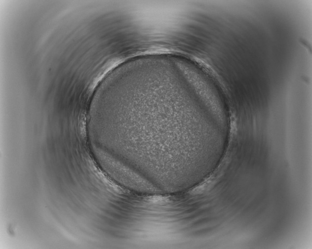 X0000099561409200805301532