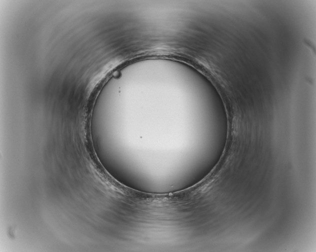 X0000099561410200805301532