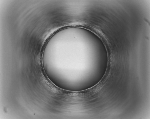 X0000099561412200805301532