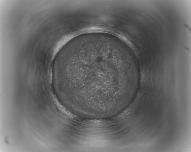 X0000099561413200805301532