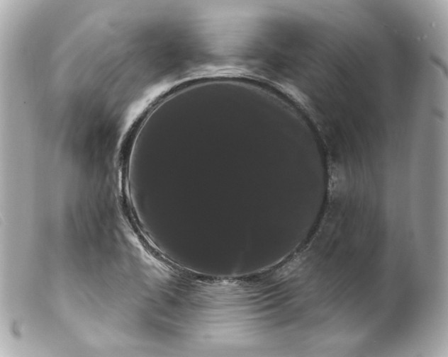 X0000099561414200805301532