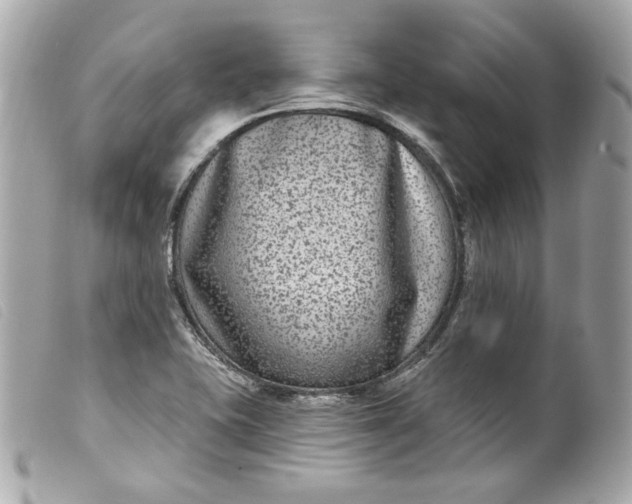 X0000099561415200805301532