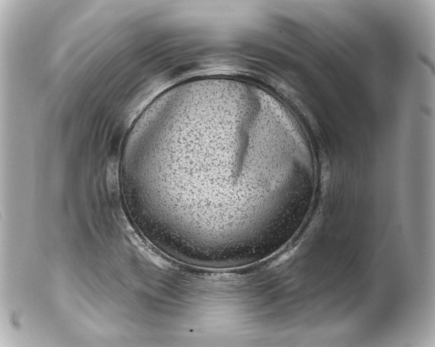 X0000099561417200805301532