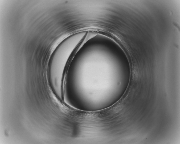 X0000099561418200805301532