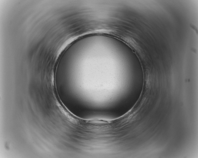 X0000099561420200805301532