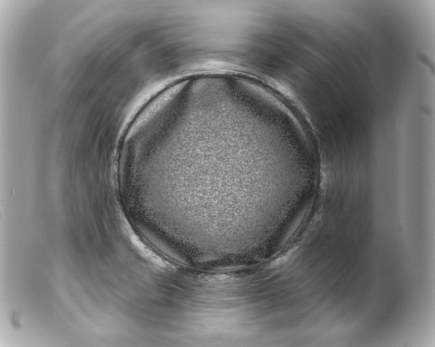 X0000099561421200805301532