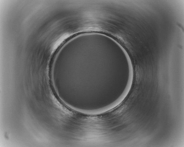 X0000099561422200805301532