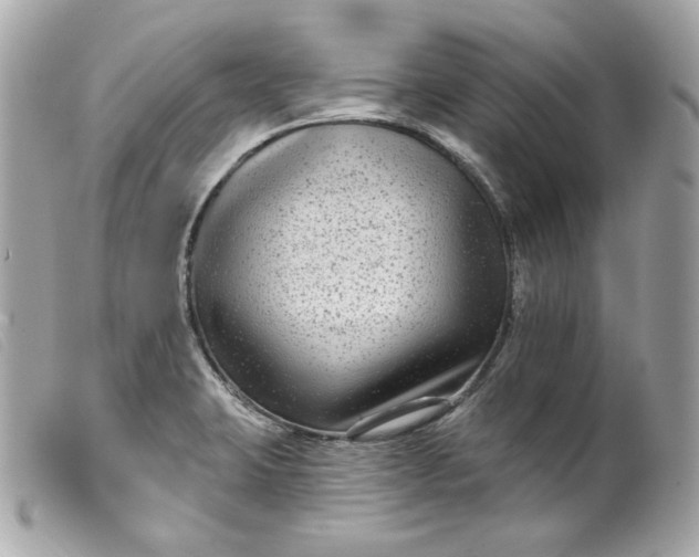 X0000099561423200805301532