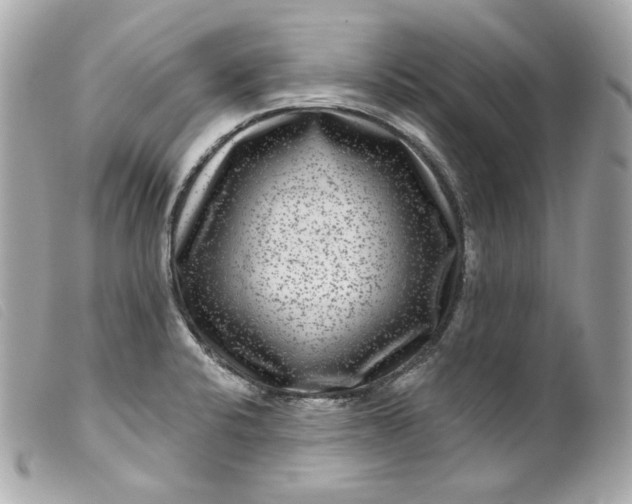 X0000099561424200805301532