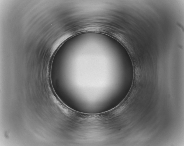 X0000099561426200805301532