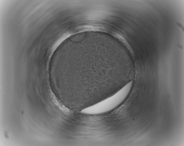 X0000099561427200805301532